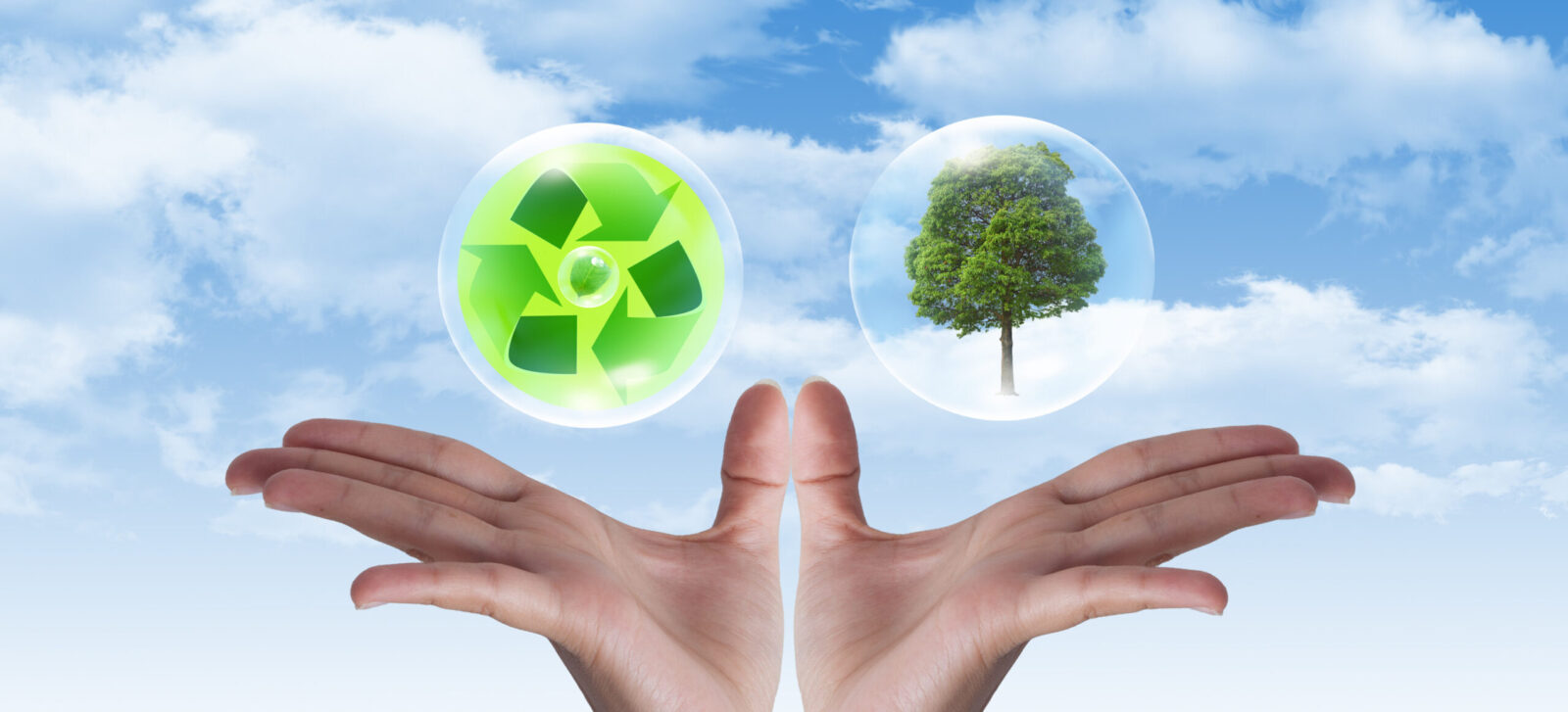 Cradle to Cradle macht vor allem da Sinn, wo noch kein Wertstoffkreislauf vorhanden ist. Papier ist das Recyclingprodukt per-se. Ist das noch Nachhaltigkeit oder schon Greenwashing? © Can Stock Photo / Basketman23)